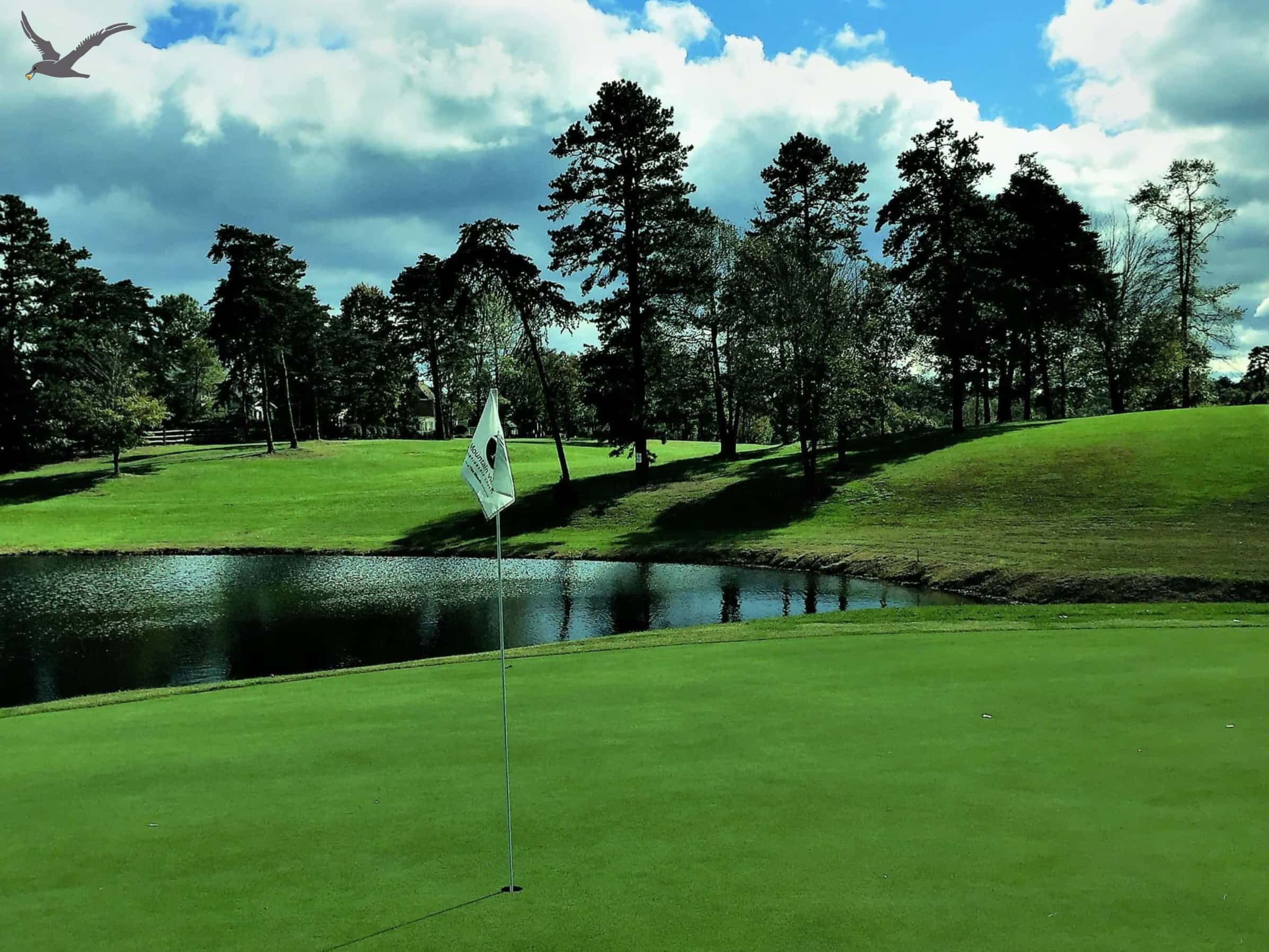 Спорт Albatross: 10 коротких фактів про Kown Golf (частина 1)